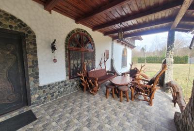 Cabana de vanzare ,Valea Avrigului/ 3000 mp/Langa padure - 5