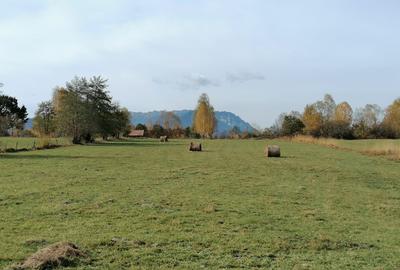 Teren in Sohodol-Bran - 8