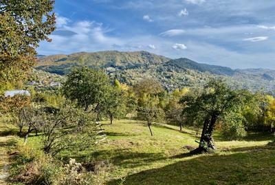 Teren retras panoramic cu panta lina, utilități si copaci mari - 3