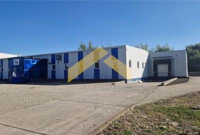 Hala industriala de vanzare in loc. Sfantul Gheorghe, jud. Covasna - 12