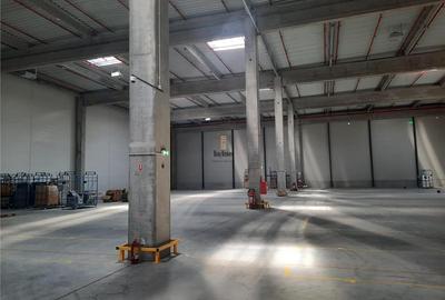 Spatiu Industrial - 1800 mp - Productie - Depozitare - Distributie - 2