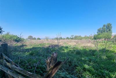 Teren intravilan de vanzare 14900 mp, 43m deschidere  Mureseni, Mures - 9