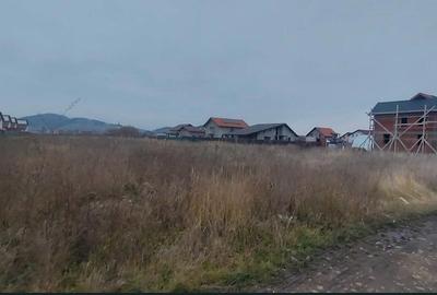 Teren Intravilan 700MP Cu Autorizatie Si Proiect Sanpetru - 1