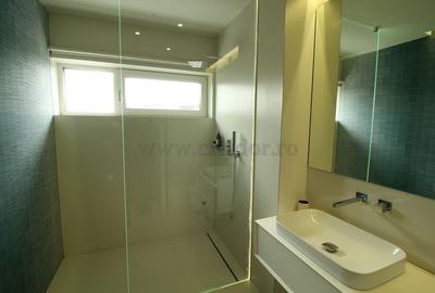 Iancu Nicolae-British School duplex  - 3 dormitoare - 19