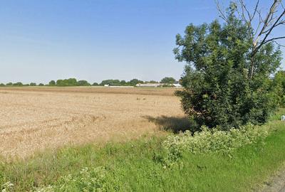 Teren Intravilan, 17500 mp, Sag, Timis, DN69 - 2