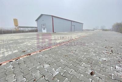 Hala industriala Cristian 270 mp | cu proiect pentru inca 2 hale | teren 3000 mp - 4
