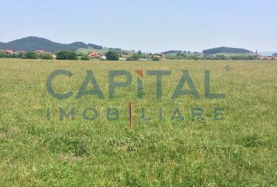 Teren de vanzare extravilan, Sanpetru - 1