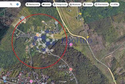 Teren Copou, 1660 mp, Sos. Stefan cel Mare, plan drept - 1