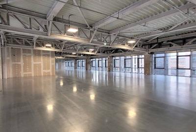 AFI Loft, Cotroceni, 318 - 12000 mp  0% comision! - 16
