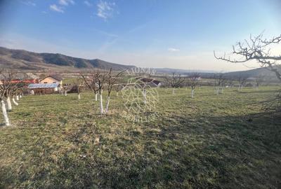 Teren 3100 mp-livada-ideal casa-Mititei - 1