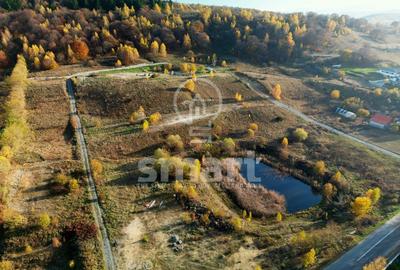Teren deosebit la intrare in Salicea, 65 euro/mp - 3