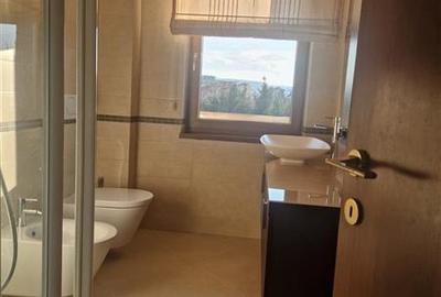Cluj Napoca, apartament 3 camere - 14