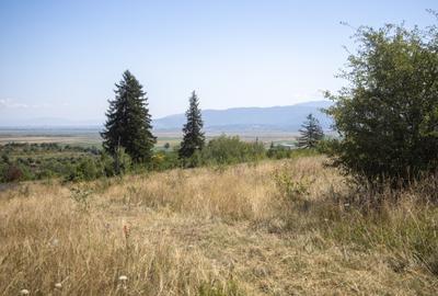 Comision0% Teren recreational 4200mp Vulcan Brasov- curent-asfalt - 8