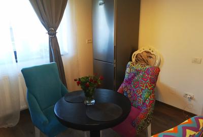 Vanzare/inchiriere duplex Trivale, mobilat, teren 300mp - 3