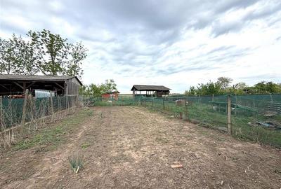 CASA CU TEREN 1081 MP | ACCES AUTO | ZONA SACUIENI | LOCALITATEA CADEA | BIHOR - 24
