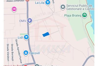 48.500 euro, NEGOCIABIL!!!  1.157 mp, teren intravilan, Bariera Traian - 3