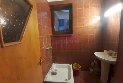 Vila Spatioasa Bucuresti Prelungirea Ghencea - 29