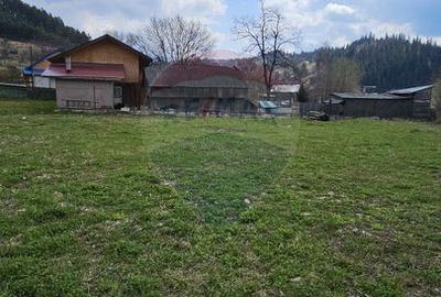 Teren 1,520mp Hangu / Strada Principala - 12