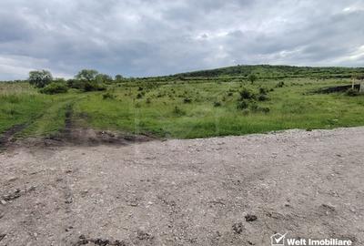 8.700 mp pentru dezvoltare rezidentiala la 3 km de CREIC - Chinteni - 9