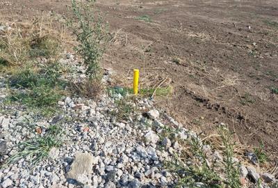 Vânzare loturi rezidențiale Popești-Leordeni/Frumușani - 5