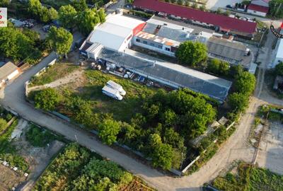 Vanzare fabrica de napolitane si dulciuri - jud. Giurgiu - 15