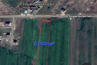 Terenuri Ciorogarla - 500mp -> 7.500mp -> 4 Ha - 6