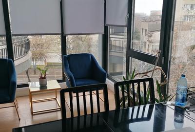 Birouri Titulescu 48- Piata Victoriei - 10