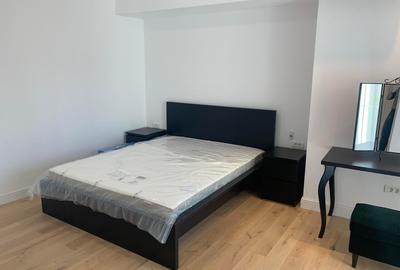 APARTAMENT SPATIOS PIATA VICTORIEI - 7