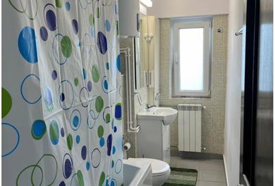 Decebal inchiriere ap 2 camere Piata Alba-Iulia - 10