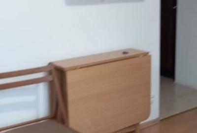 GARSONIERA MOBILATA SI UTILATA,CONTORIZATA,BLOC REABILITAT, - 34