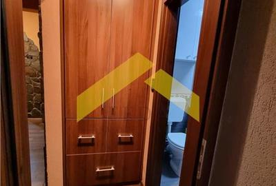 Apartament de inchiriat Aradul Nou - 15