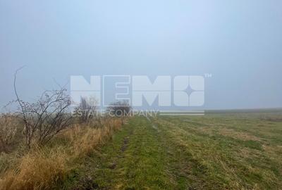 TEREN EXTRAVILAN | DOUA PARCELE 2.84 HA| DARMANESTI - 7