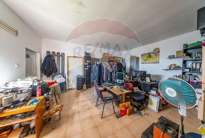 Spațiu industrial cu potential de vanzare in Paulis,Arad - 14