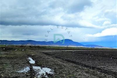 Teren Agricol, Cristian - 1
