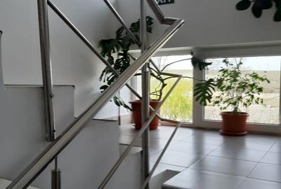 Vila cu 16 camere, ideala pentru azil de batrani sau turism - 15