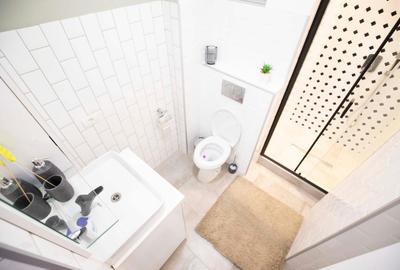 Piata Unirii-CENTRU VECHI, 2 camere, etaj 5, vedere spate, 55 mp, COCHET - 5