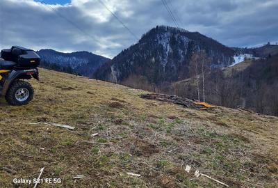 Teren, Zona de Interes Turistic-Cheile Gradistei,  8800mp - 5