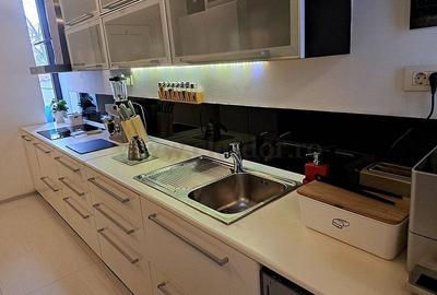 Vila in apropiere de IANCU NICOLAE-JOLIE VILLE - 9