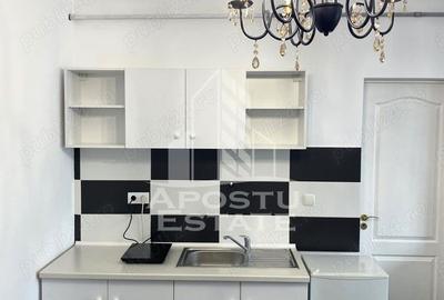 Apartament o camera tip studio de inchiriat,zona Brancoveanu Timisoara - 6