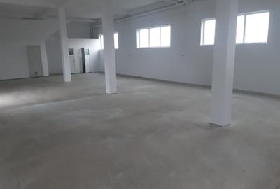 Hala si spatii de birouri-Spațiu versatil în zonă excelentă - 10