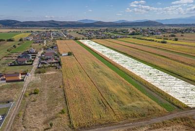 Teren Intravilan Bod | 15.000 mp | Zona Uranus - Constelației - 6