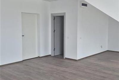 Inchiriere depozit/hala/spatiu industrial Chiajna - Chitila - Rudeni - 10