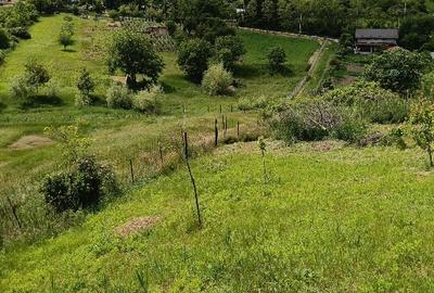 Teren intravilan Vorovești - 4