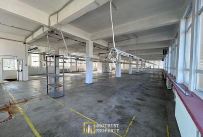 Hală Industrială de inchiriat – Lipova, Județul Arad - 17