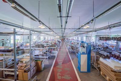 Hala de productie functionala, 790mp, Sebes - 5