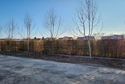 Allegria-doar 1.4km A0,liniste,acces rapid Bucuresti! - 10