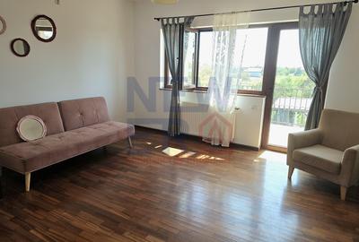 PROPRIETATE DEOSEBITĂ CU POTENȚIAL REZIDENȚIAL ȘI  BUSINESS – MOVILA, NICULEȘTI - 17