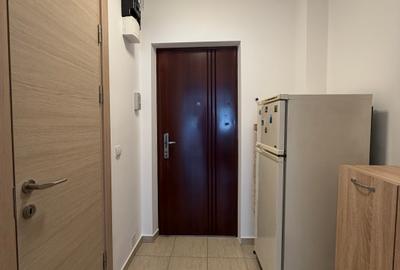 Garsoniera Titan Prima Inchiriere 32 Mp Bloc Reabilitat 6 Min Metrou 11 Min IOR - 16