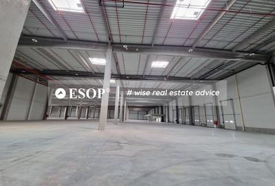 Constanta Business Park, hale Industriale, 7.000-30.000mp,  0%comision - 4