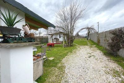 Casa de vanzare in Nufaru - 38